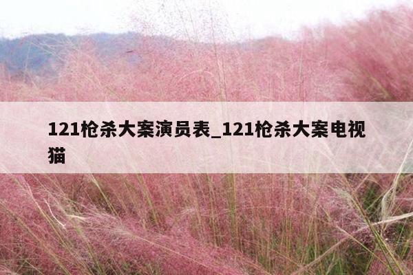 121枪杀大案演员表_121枪杀大案电视猫