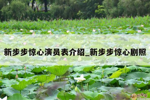 新步步惊心演员表介绍_新步步惊心剧照