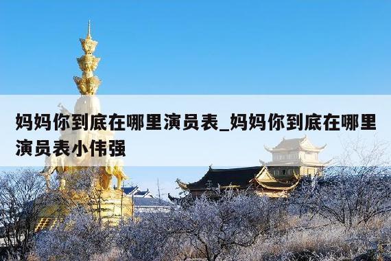 妈妈你到底在哪里演员表_妈妈你到底在哪里演员表小伟强