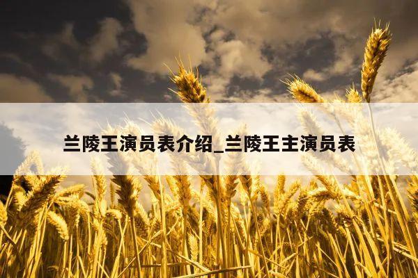 兰陵王演员表介绍_兰陵王主演员表