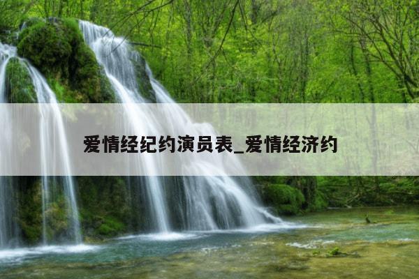 爱情经纪约演员表_爱情经济约
