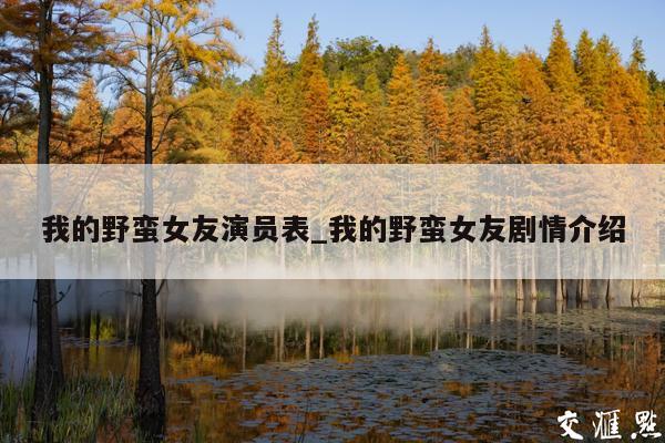 我的野蛮女友演员表_我的野蛮女友剧情介绍