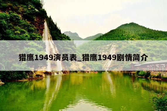 猎鹰1949演员表_猎鹰1949剧情简介