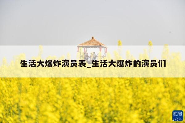 生活大爆炸演员表_生活大爆炸的演员们