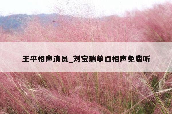 王平相声演员_刘宝瑞单口相声免费听