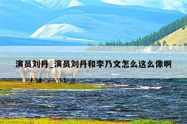 演员刘丹_演员刘丹和李乃文怎么这么像啊