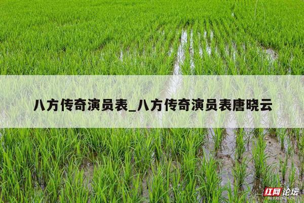 八方传奇演员表_八方传奇演员表唐晓云