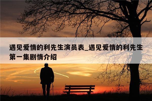 遇见爱情的利先生演员表_遇见爱情的利先生第一集剧情介绍