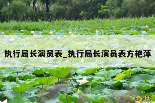 执行局长演员表_执行局长演员表方艳萍