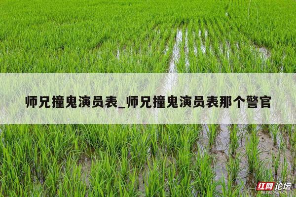 师兄撞鬼演员表_师兄撞鬼演员表那个警官