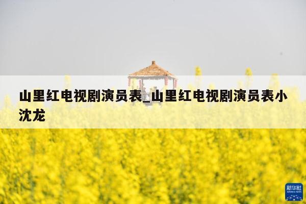 山里红电视剧演员表_山里红电视剧演员表小沈龙
