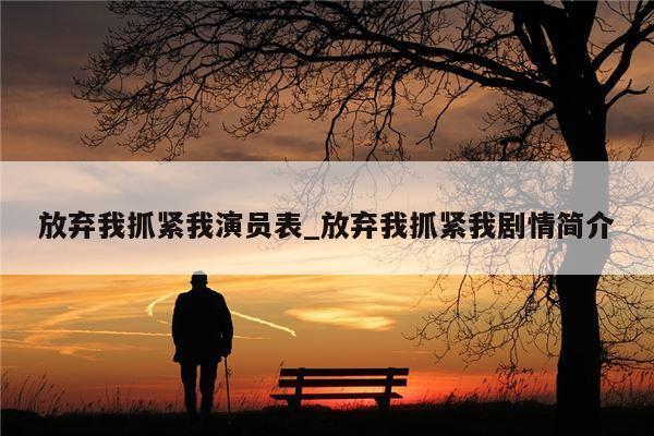 放弃我抓紧我演员表_放弃我抓紧我剧情简介