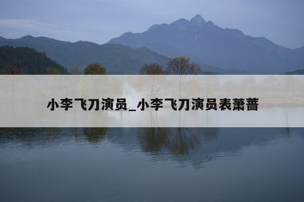 小李飞刀演员_小李飞刀演员表萧蔷