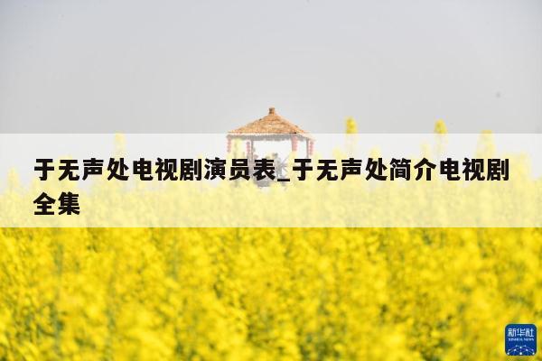 于无声处电视剧演员表_于无声处简介电视剧全集