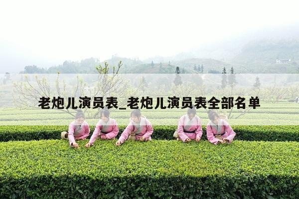 老炮儿演员表_老炮儿演员表全部名单