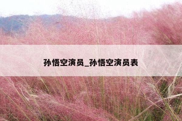 孙悟空演员_孙悟空演员表