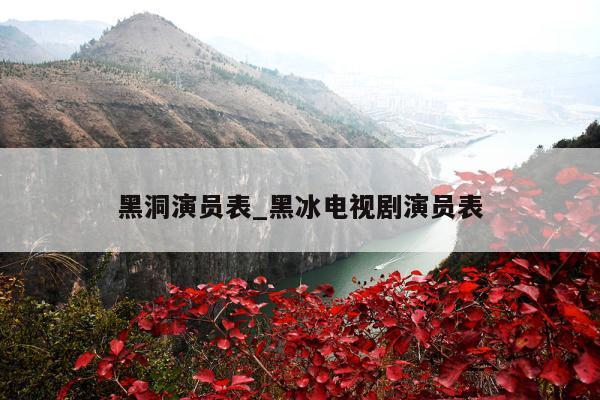 黑洞演员表_黑冰电视剧演员表