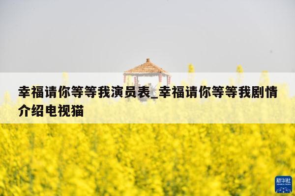 幸福请你等等我演员表_幸福请你等等我剧情介绍电视猫