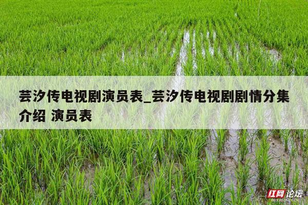 芸汐传电视剧演员表_芸汐传电视剧剧情分集介绍 演员表