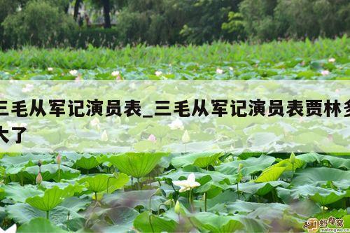 三毛从军记演员表_三毛从军记演员表贾林多大了