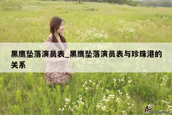 黑鹰坠落演员表_黑鹰坠落演员表与珍珠港的关系