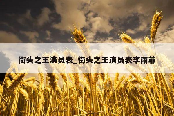 街头之王演员表_街头之王演员表李雨菲