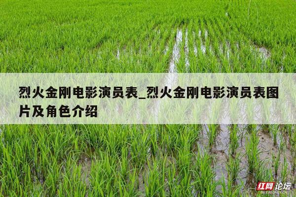 烈火金刚电影演员表_烈火金刚电影演员表图片及角色介绍