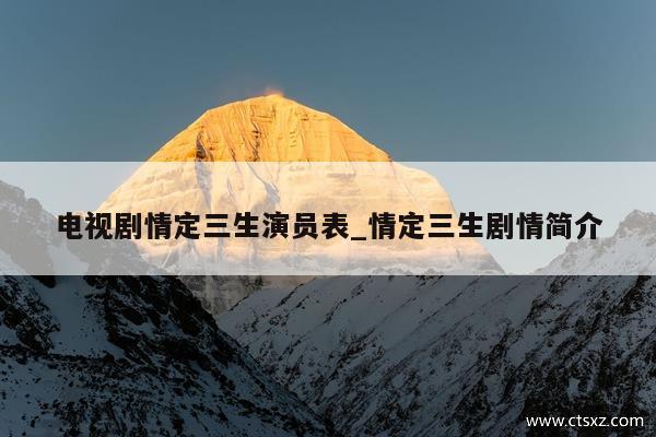 电视剧情定三生演员表_情定三生剧情简介
