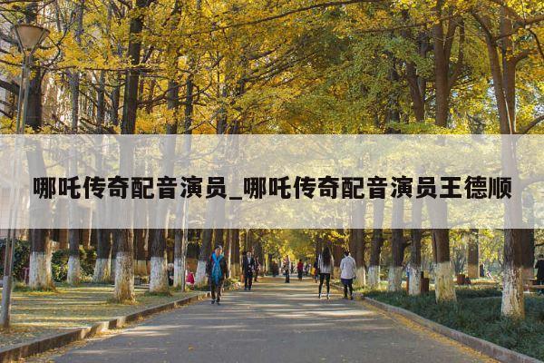 哪吒传奇配音演员_哪吒传奇配音演员王德顺