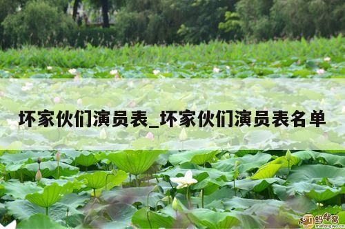坏家伙们演员表_坏家伙们演员表名单