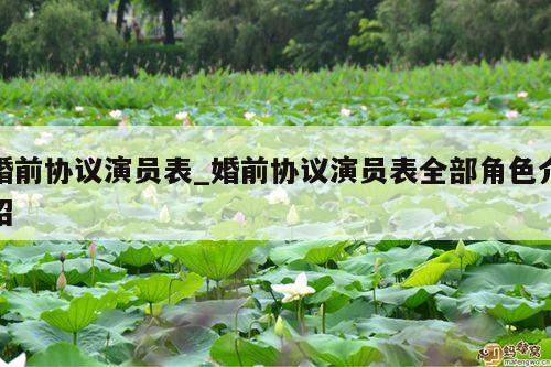 婚前协议演员表_婚前协议演员表全部角色介绍