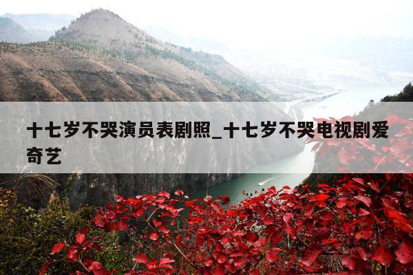 十七岁不哭演员表剧照_十七岁不哭电视剧爱奇艺