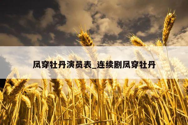 凤穿牡丹演员表_连续剧凤穿牡丹