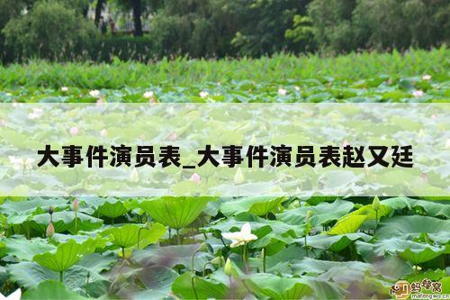 大事件演员表_大事件演员表赵又廷