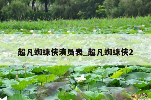超凡蜘蛛侠演员表_超凡蜘蛛侠2