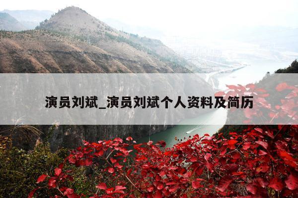 演员刘斌_演员刘斌个人资料及简历