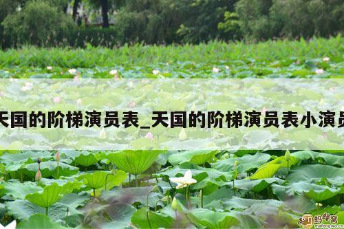 天国的阶梯演员表_天国的阶梯演员表小演员