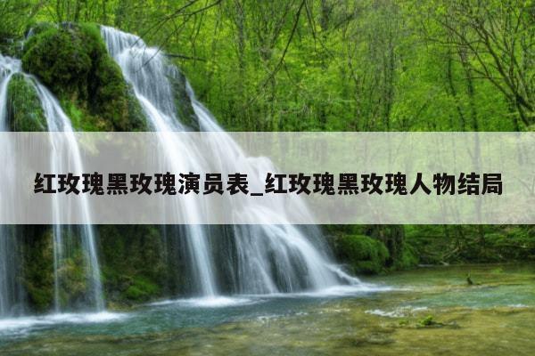 红玫瑰黑玫瑰演员表_红玫瑰黑玫瑰人物结局