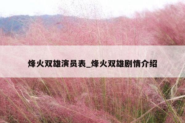 烽火双雄演员表_烽火双雄剧情介绍