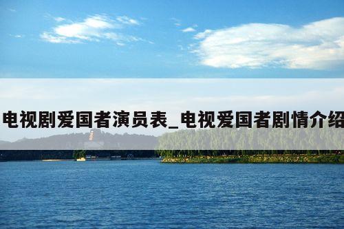 电视剧爱国者演员表_电视爱国者剧情介绍