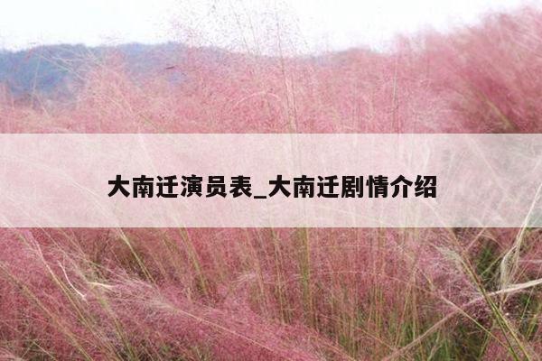 大南迁演员表_大南迁剧情介绍