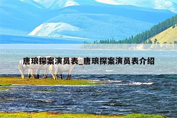唐琅探案演员表_唐琅探案演员表介绍