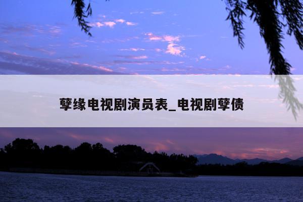 孽缘电视剧演员表_电视剧孽债