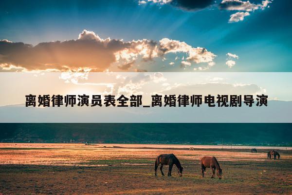离婚律师演员表全部_离婚律师电视剧导演