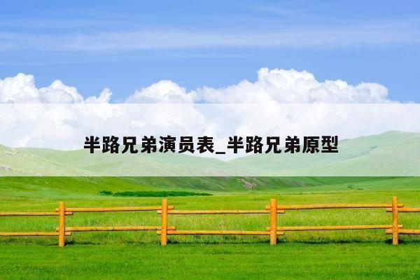 半路兄弟演员表_半路兄弟原型