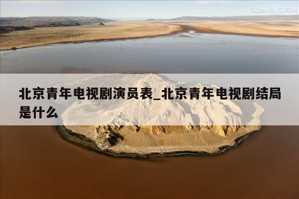 北京青年电视剧演员表_北京青年电视剧结局是什么