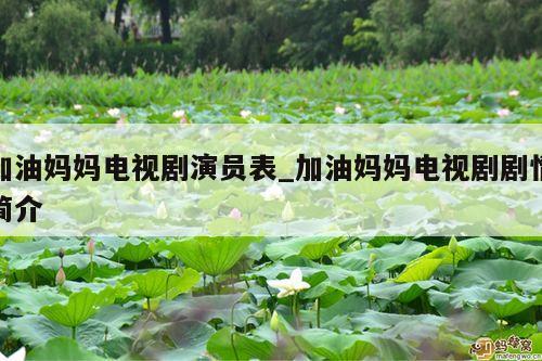 加油妈妈电视剧演员表_加油妈妈电视剧剧情简介