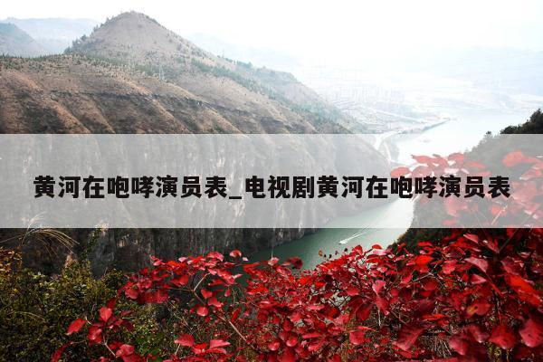 黄河在咆哮演员表_电视剧黄河在咆哮演员表