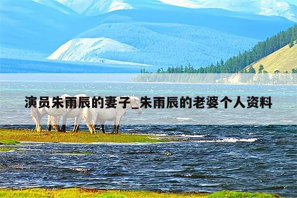 演员朱雨辰的妻子_朱雨辰的老婆个人资料