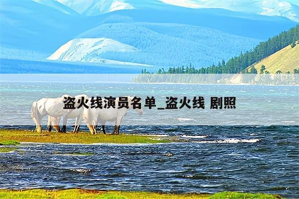 盗火线演员名单_盗火线 剧照